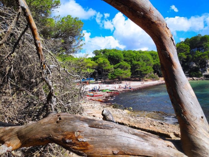 Kayaks en Cala Galdana