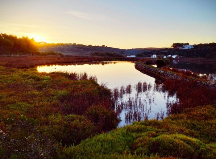 Albufera de Es Grau